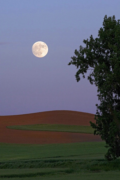 Moonrise in the Palouse - ID: 980952 © John Tubbs