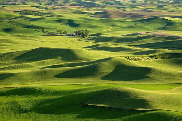 Palouse Patterns - Evening - ID: 984439 © John Tubbs