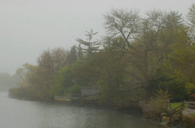 Fog Along The River #1