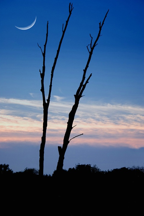 Moon at Sunset