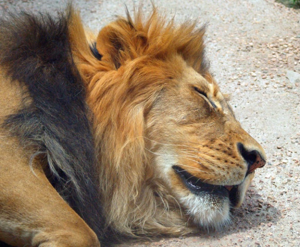 Do Not Disturb!