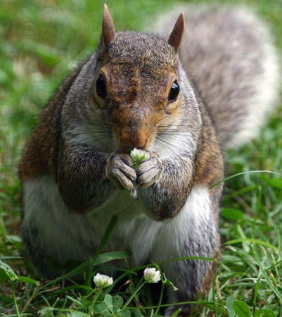 Taking Time To Smell The Flowers