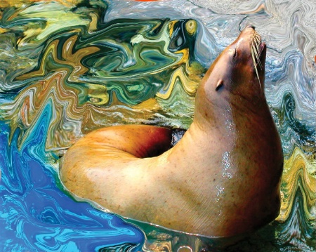 SeaLion