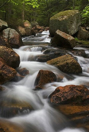 Rocky Road - Acadia Nat'l Park