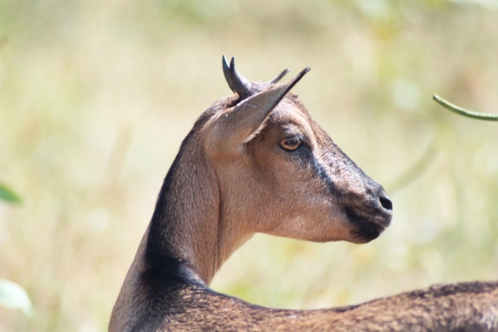 Profile