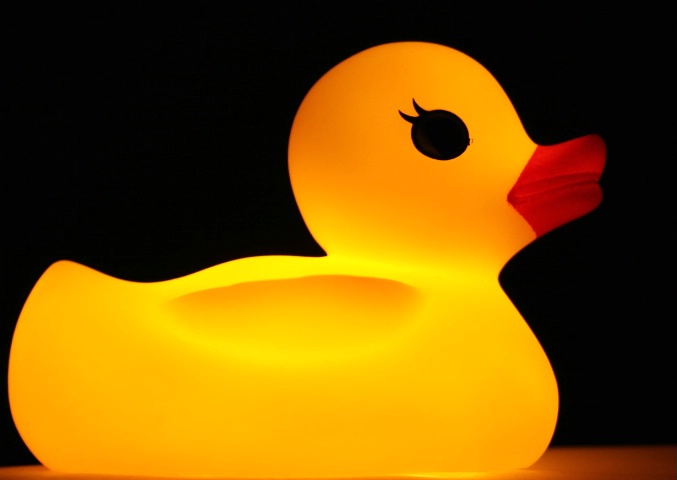 Rubber Ducky, You're the One