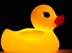 Rubber Ducky, You...
