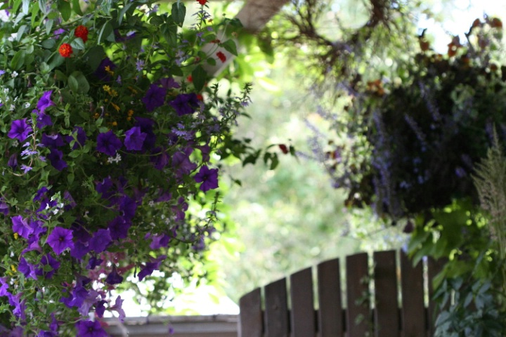 the porch