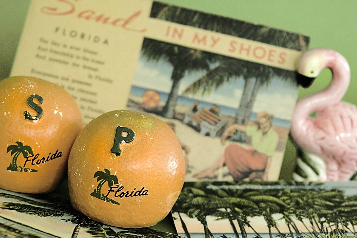 Vintage Florida Souvenirs - ID: 997817 © Wendy M. Amdahl
