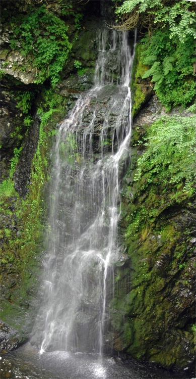 Raymondskill Falls 