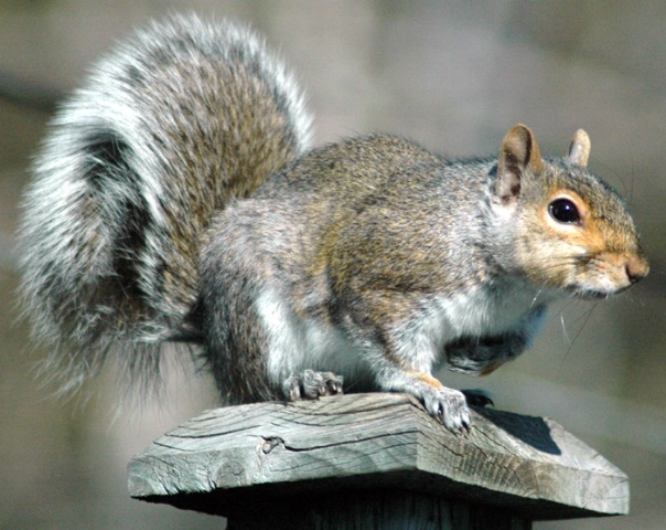 Holding his nuts