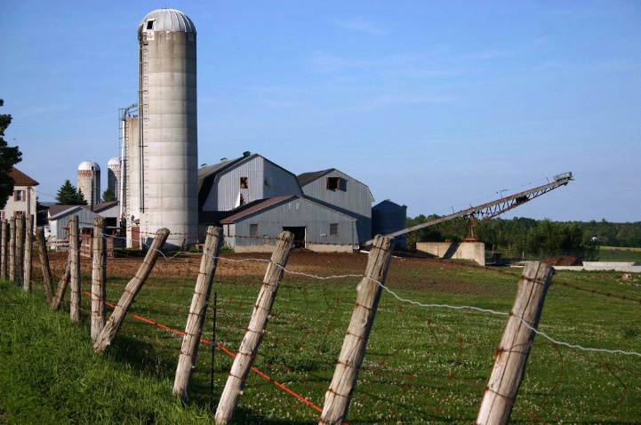 Old Farm - ID: 1009585 © Liandra Barry 