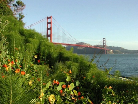 Golden Gate Bridge