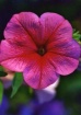 my best macro
