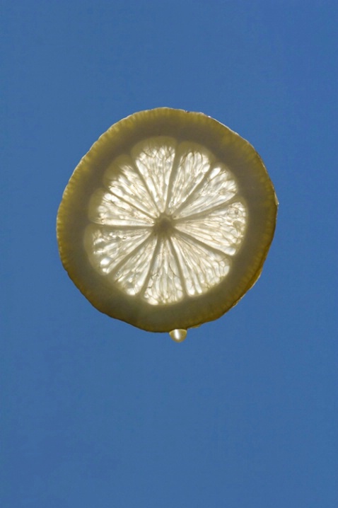 Lemon Drop - ID: 1011337 © Robert Hambley