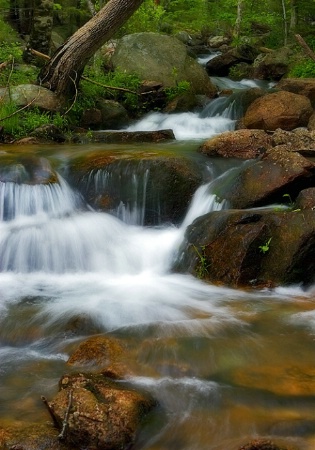 By Streams of Living Water - Acadia Nat'l Par