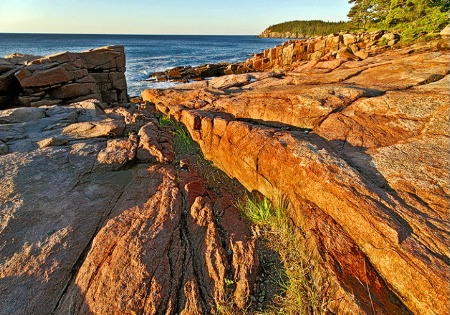Sunlit Rocks and Shore-Acadia National Park