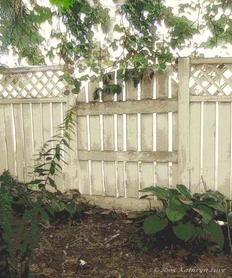 img12