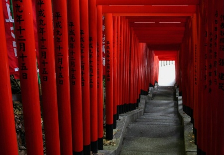 Red Tunnel