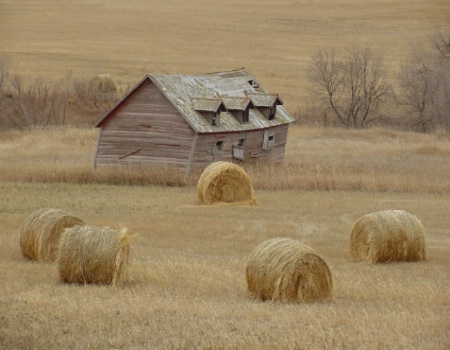Hay! No one's home.