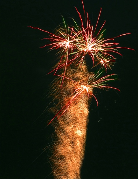 Fireworks Palm