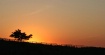 Sunset Hill