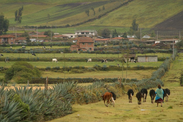 Ecuador Highlands