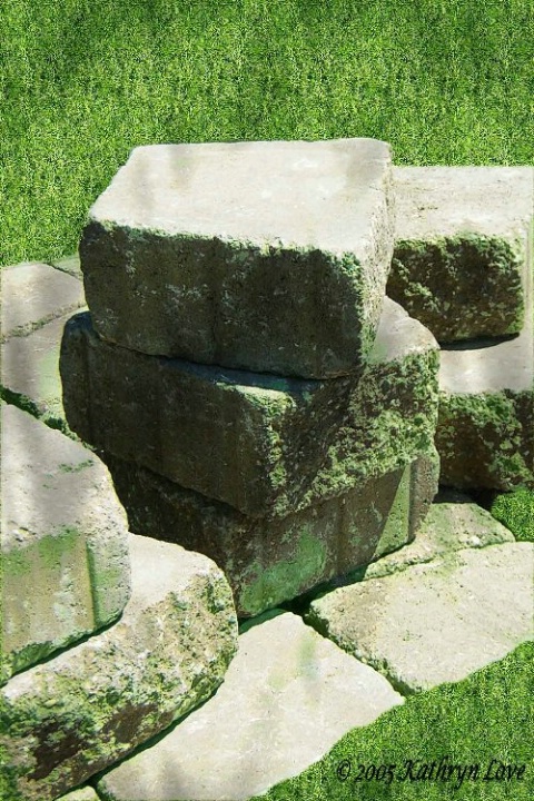 img19
