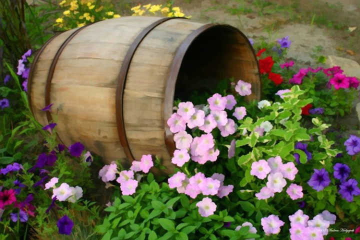 Just a Barrel of Flowers