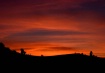 Sunset on Saltwel...