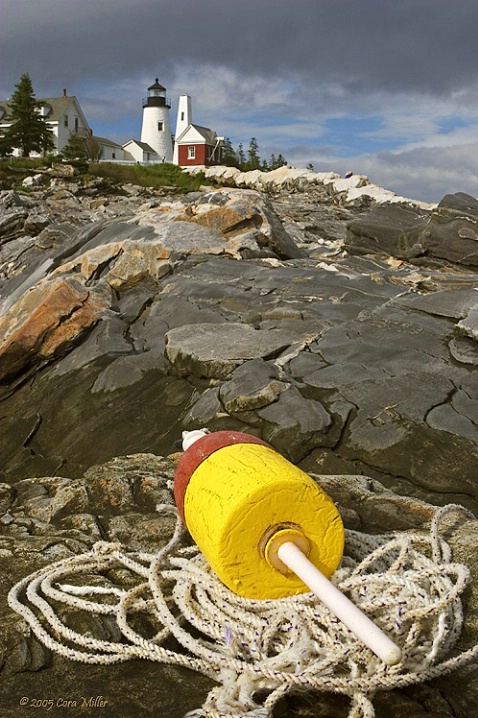 Washed Ashore - Pemaquid Point, Maine