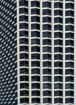 The Human Hive