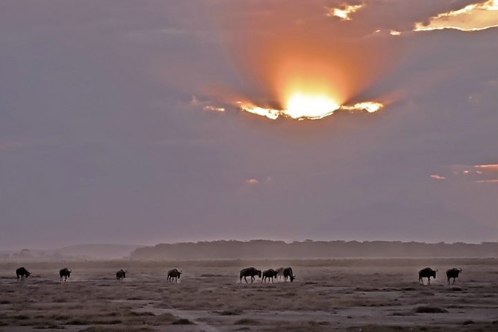 At dusk