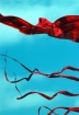 Scarlet  Kites