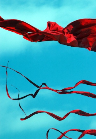 Scarlet  Kites