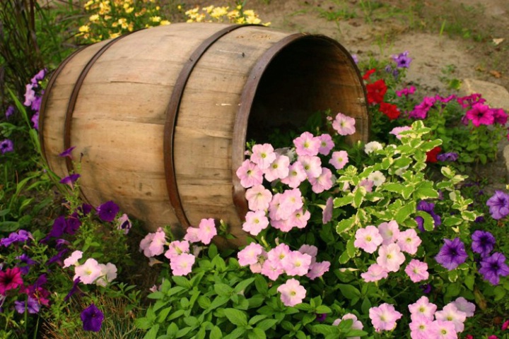 Just a Barrell of Petunias