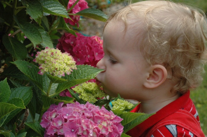 Time to smell the flowers