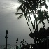 © Jannalee Muise PhotoID# 1034970: Waikiki