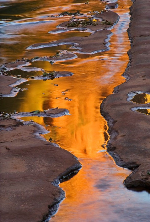 Reflection in a Sedona stream