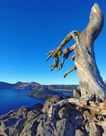 Pointing to the Lake