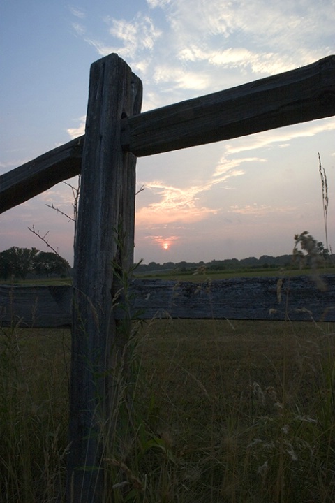 Sunrise Fence #3