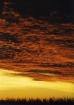 before sunrise