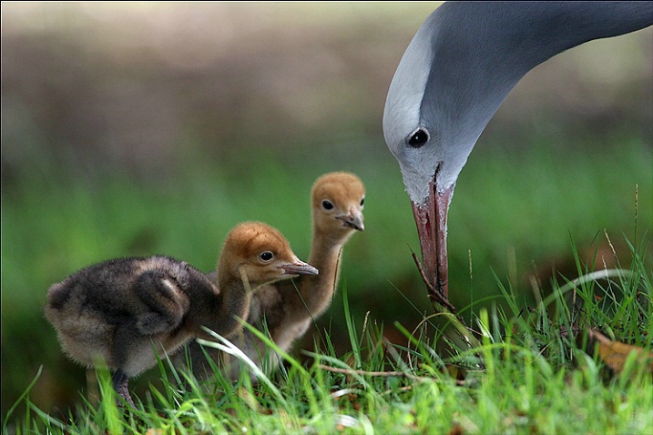 Feeding lesson 101...