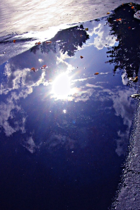 Puddle Reflection