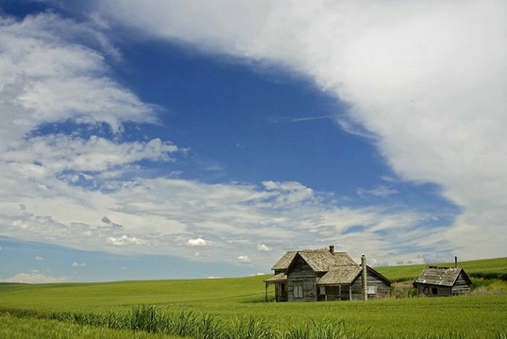 Abandoned Homestead in Wheat Field - ID: 1042391 © John Tubbs