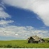2Abandoned Homestead in Wheat Field - ID: 1042391 © John Tubbs
