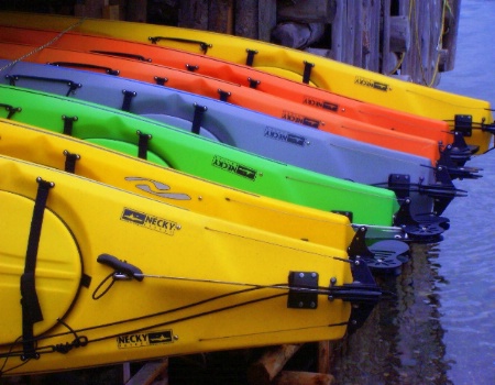 Colourful Kayaks - Norris Point NL.