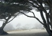 Carmel Beach, Ear...