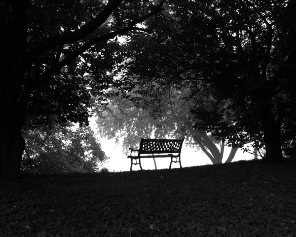 Riverbank Bench in Fog