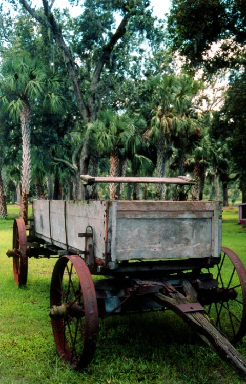 Green Meadows Wagon